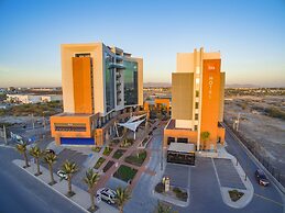 ibis Torreon