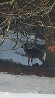 Domaine des 3 Marmottes