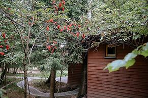Skokovo Park