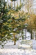 Skokovo Park