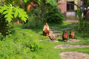 Ninh Binh Palm Homestay