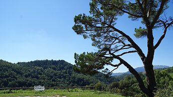 La Costa de Mollo