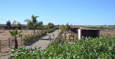 Koheilan Oriental Lodge Farm