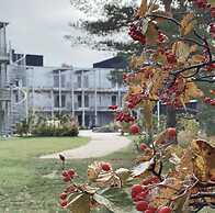First Hotel Kokoloko