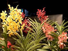 Louis Hotel - Bui Vien Walking Street