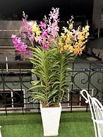 Louis Hotel - Bui Vien Walking Street