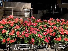 Louis Hotel - Bui Vien Walking Street