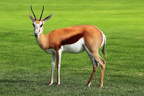 Krisjan's Lodge @ Oubaai