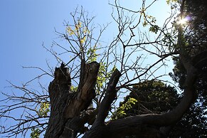 Villa Musolino Country Resort