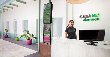 Hostal Casa MX Alameda - Hostel