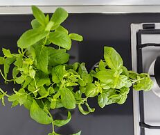 Le Cupole Suites & Apartments