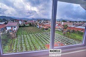 Berastagi Nachelle Homestay