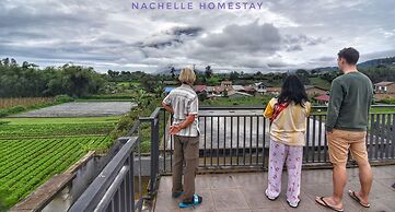 Berastagi Nachelle Homestay