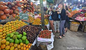 Berastagi Nachelle Homestay