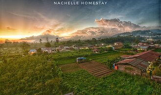 Berastagi Nachelle Homestay