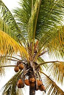 Suite da Vila - Praia do Espelho