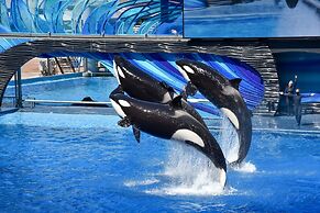 Holiday Inn & Suites Orlando I-Drive Theme Parks by IHG