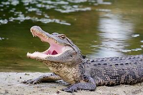 Holiday Inn & Suites Orlando I-Drive Theme Parks by IHG