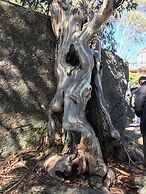 Ironstone Romantic Couples Retreat