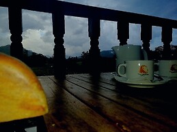 Hotel Lion Nature