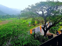 Hotel Lion Nature