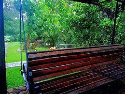 Hotel Lion Nature