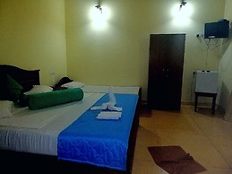 Hotel Lion Nature