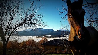 Albergue Rural Mandoia - Hostel