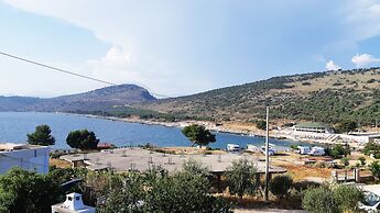 Blue Moon Apartments