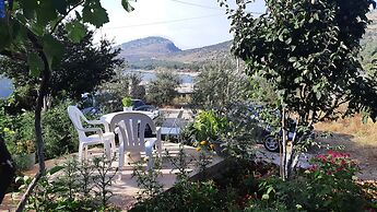 Blue Moon Apartments