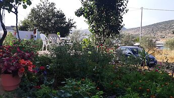 Blue Moon Apartments