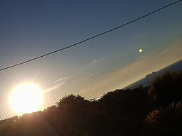 Blue Moon Apartments