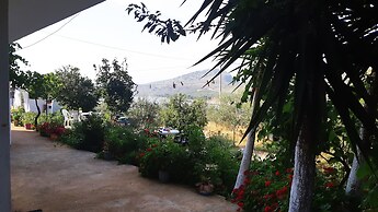 Blue Moon Apartments