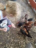 Beautiful Vacation Home CBC FARMS