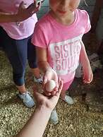 Beautiful Vacation Home CBC FARMS