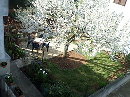 Apartments and Room Thea