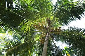Lime Cabanas Sri Lanka