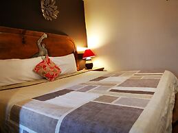 Hotel Chocolate Tradicional