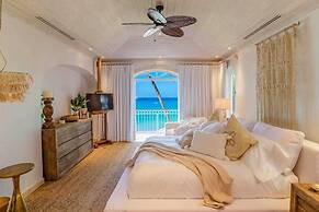 Old Trees 104 - Sunset