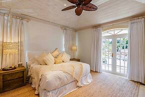 Old Trees 104 - Sunset