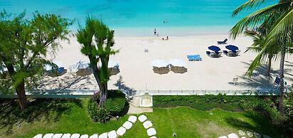 Old Trees 302 - La Mirage