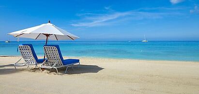 Old Trees 302 - La Mirage