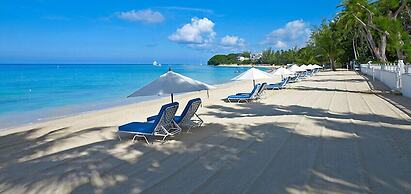 Old Trees 302 - La Mirage