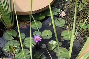 Hotel Valle Místico