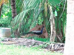 Beach Lagoon Guest House