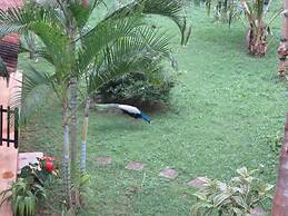 Beach Lagoon Guest House