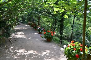 Château de Peufeilhoux