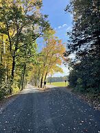 Mountain Springs Lake Resort