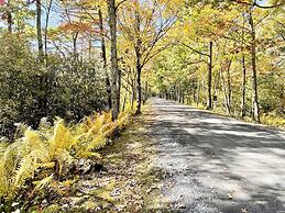 Mountain Springs Lake Resort