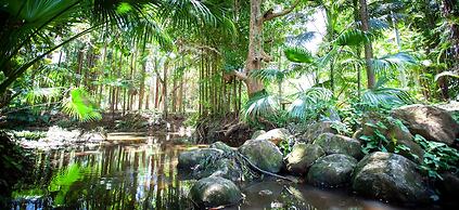 Sanctuary in The Pocket